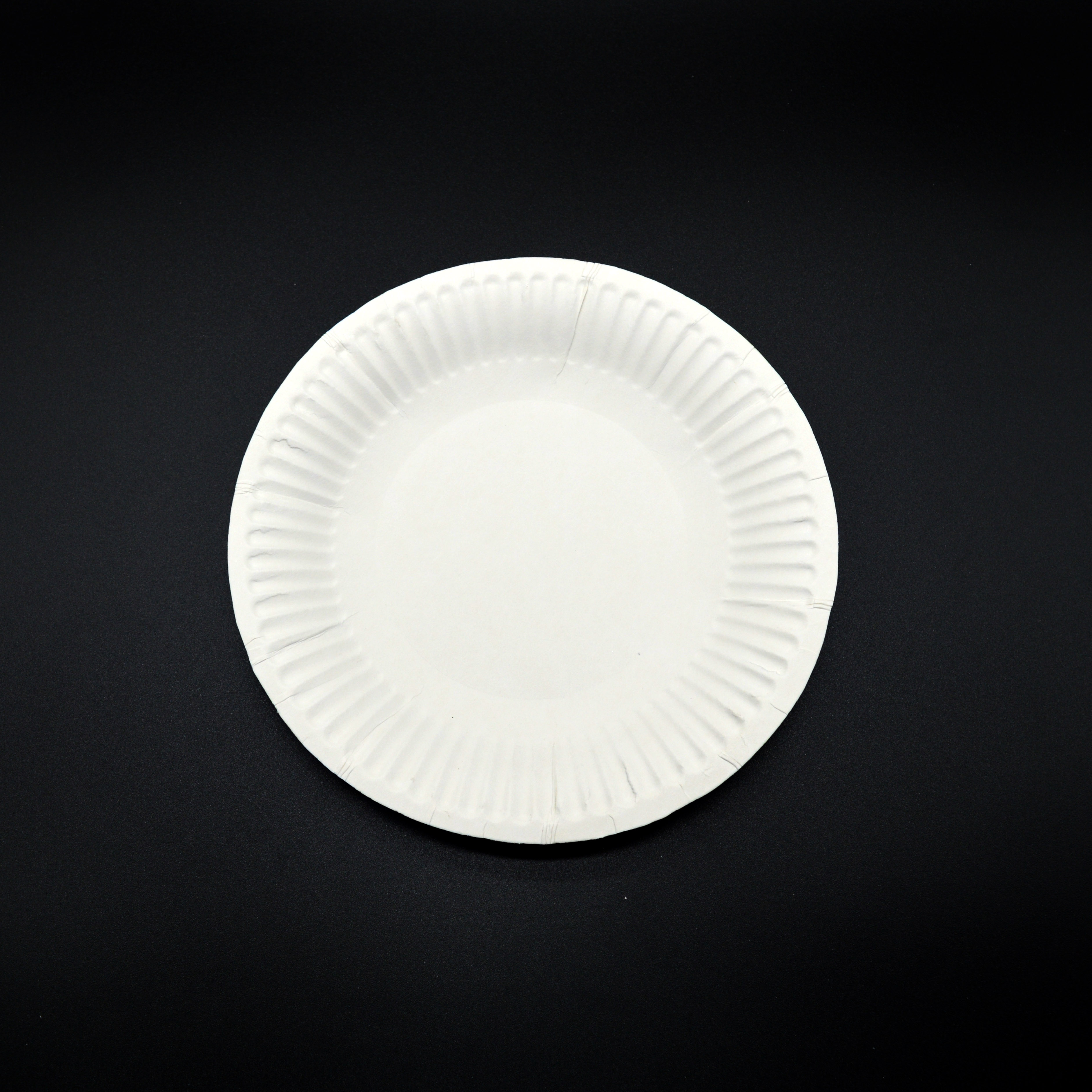 Disposable Paper Plates